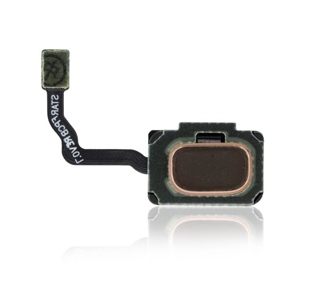 Samsung Galaxy S9/ S9 Plus-Home Button Flex- Gold